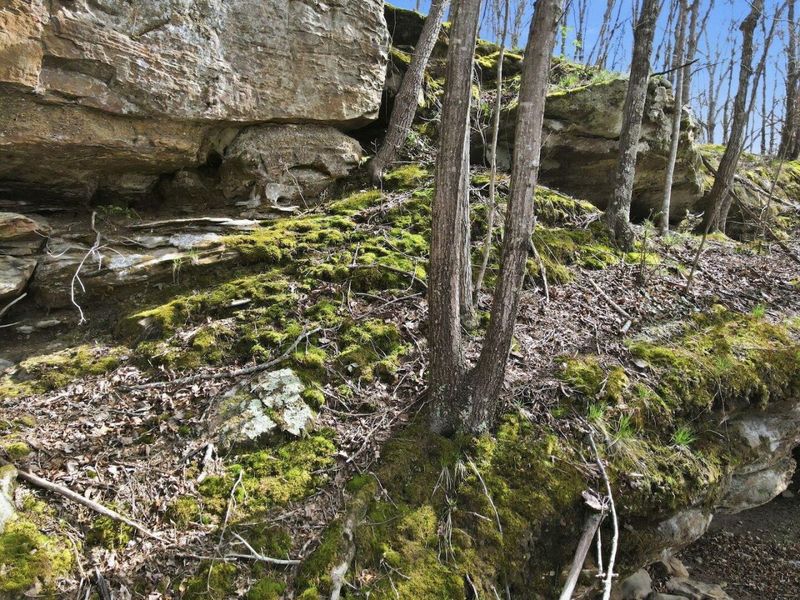 0 Roberts Rd Road, Jackson, OH 45640 Photo 10