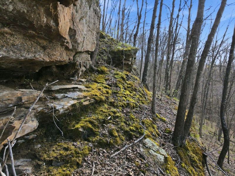 0 Roberts Rd Road, Jackson, OH 45640 Photo 11