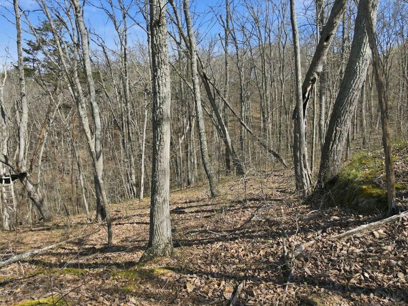 0 Roberts Rd Road, Jackson, OH 45640 Photo 15