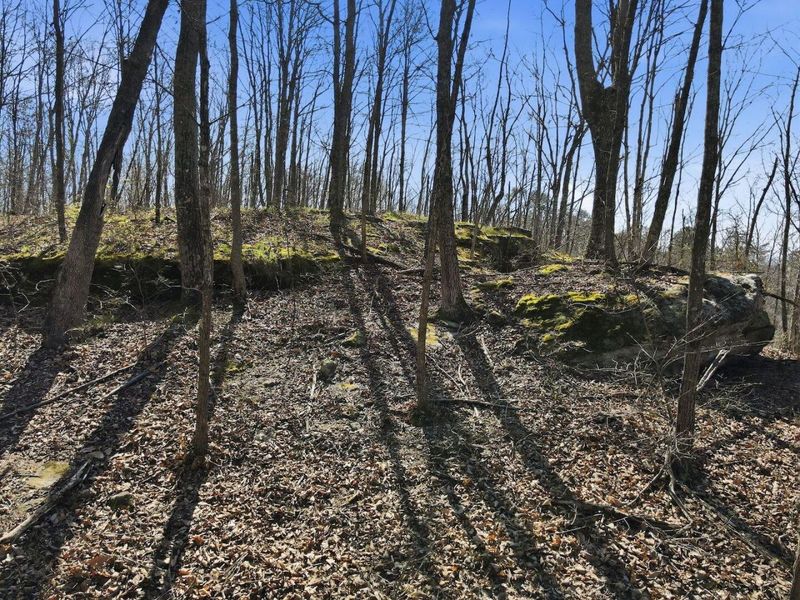 0 Roberts Rd Road, Jackson, OH 45640 Photo 16