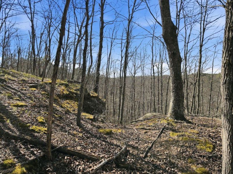 0 Roberts Rd Road, Jackson, OH 45640 Photo 17