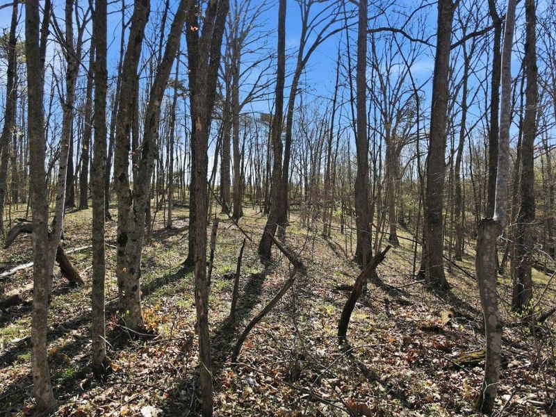 0 Roberts Rd Road, Jackson, OH 45640 Photo 2