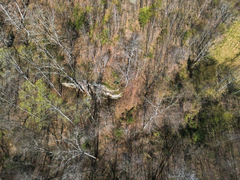 0 Roberts Rd Road, Jackson, OH 45640 Photo 24