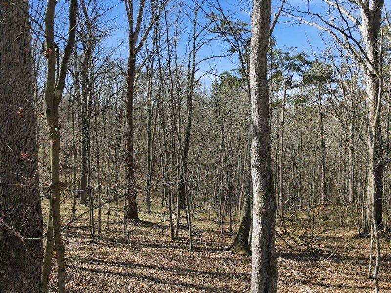 0 Roberts Rd Road, Jackson, OH 45640 Photo 3