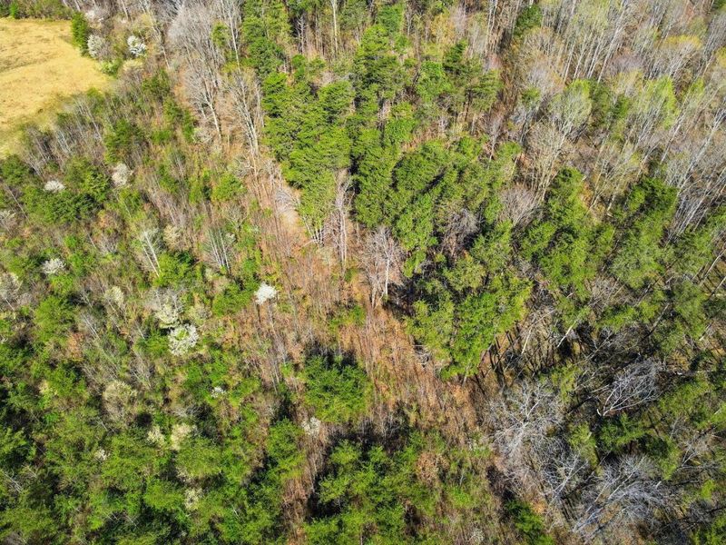 0 Roberts Rd Road, Jackson, OH 45640 Photo 31