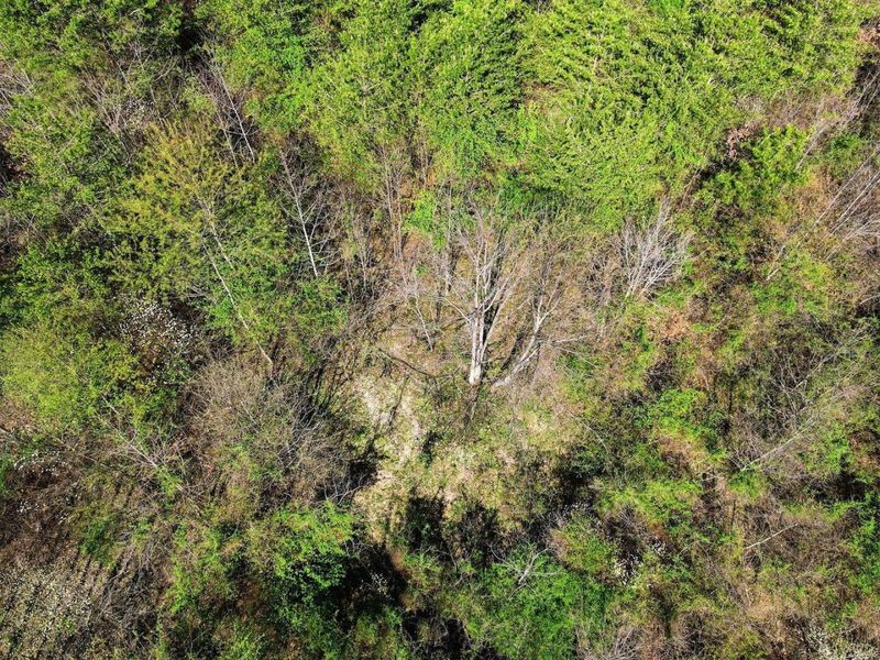 0 Roberts Rd Road, Jackson, OH 45640 Photo 32