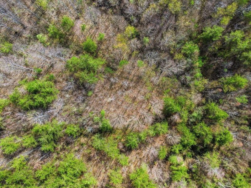 0 Roberts Rd Road, Jackson, OH 45640 Photo 35