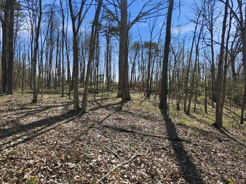 0 Roberts Rd Road, Jackson, OH 45640 Photo 4