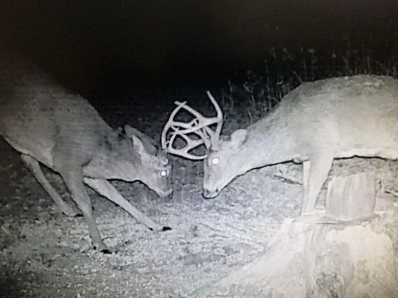 0 Roberts Rd Road, Jackson, OH 45640 Photo 43