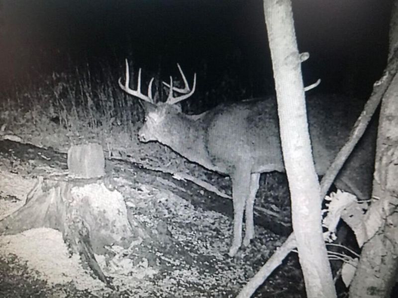 0 Roberts Rd Road, Jackson, OH 45640 Photo 44