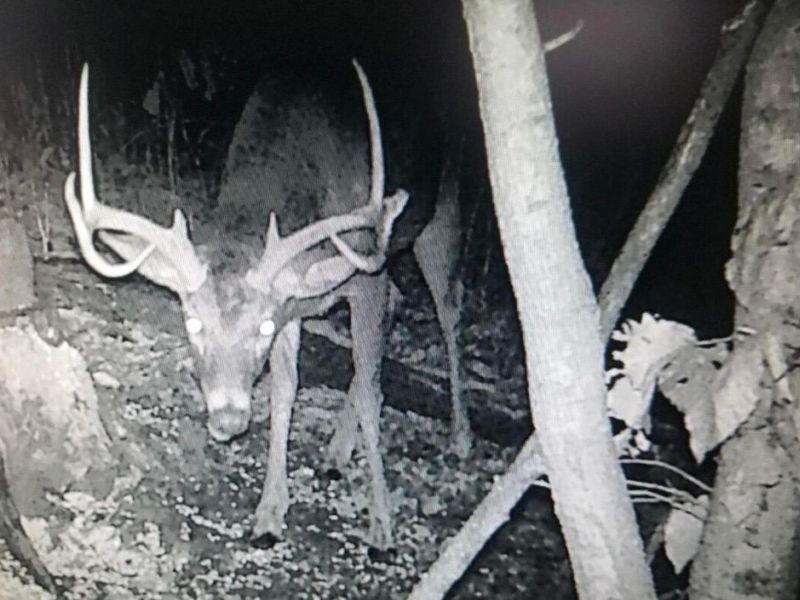 0 Roberts Rd Road, Jackson, OH 45640 Photo 45