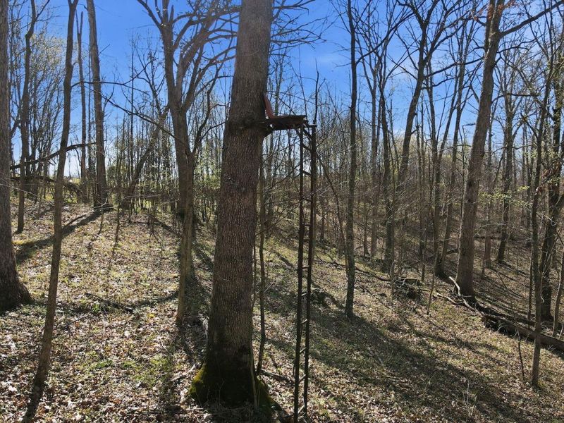 0 Roberts Rd Road, Jackson, OH 45640 Photo 5