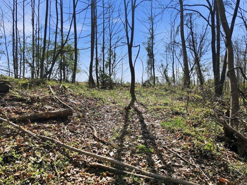 0 Roberts Rd Road, Jackson, OH 45640 Photo 6