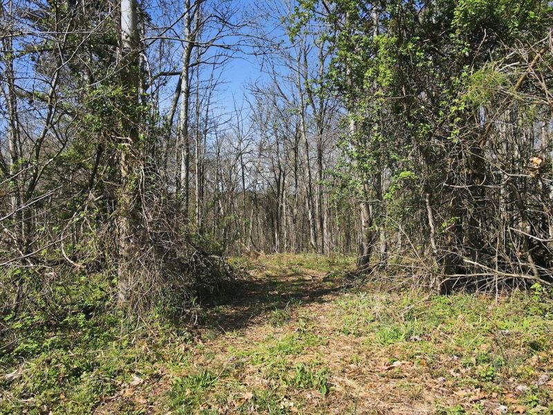 0 Roberts Rd Road, Jackson, OH 45640 Photo 7