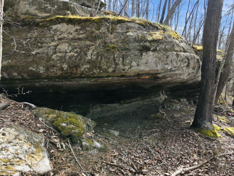 0 Roberts Rd Road, Jackson, OH 45640 Photo 9