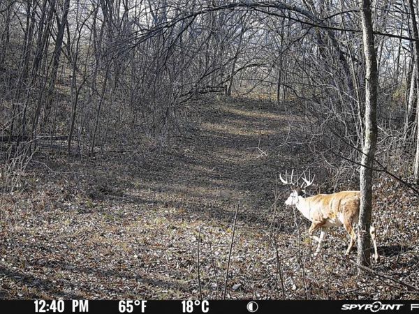 59 +/- Ac State Hwy 80, Richland Center, WI 53581