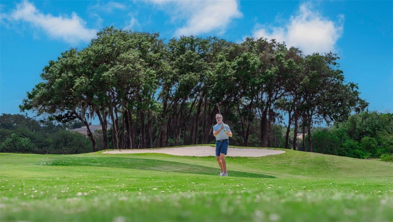 2210 N Peakview Loop , Hernando, FL 34442 Photo