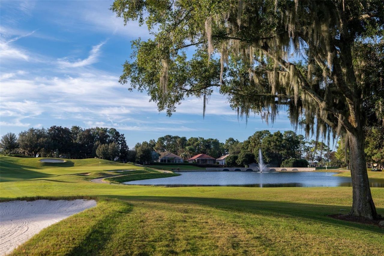 2210 N Peakview Loop , Hernando, FL 34442 Photo