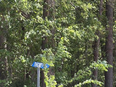 0 Thicket Lane, Saint Stephen, SC 29479