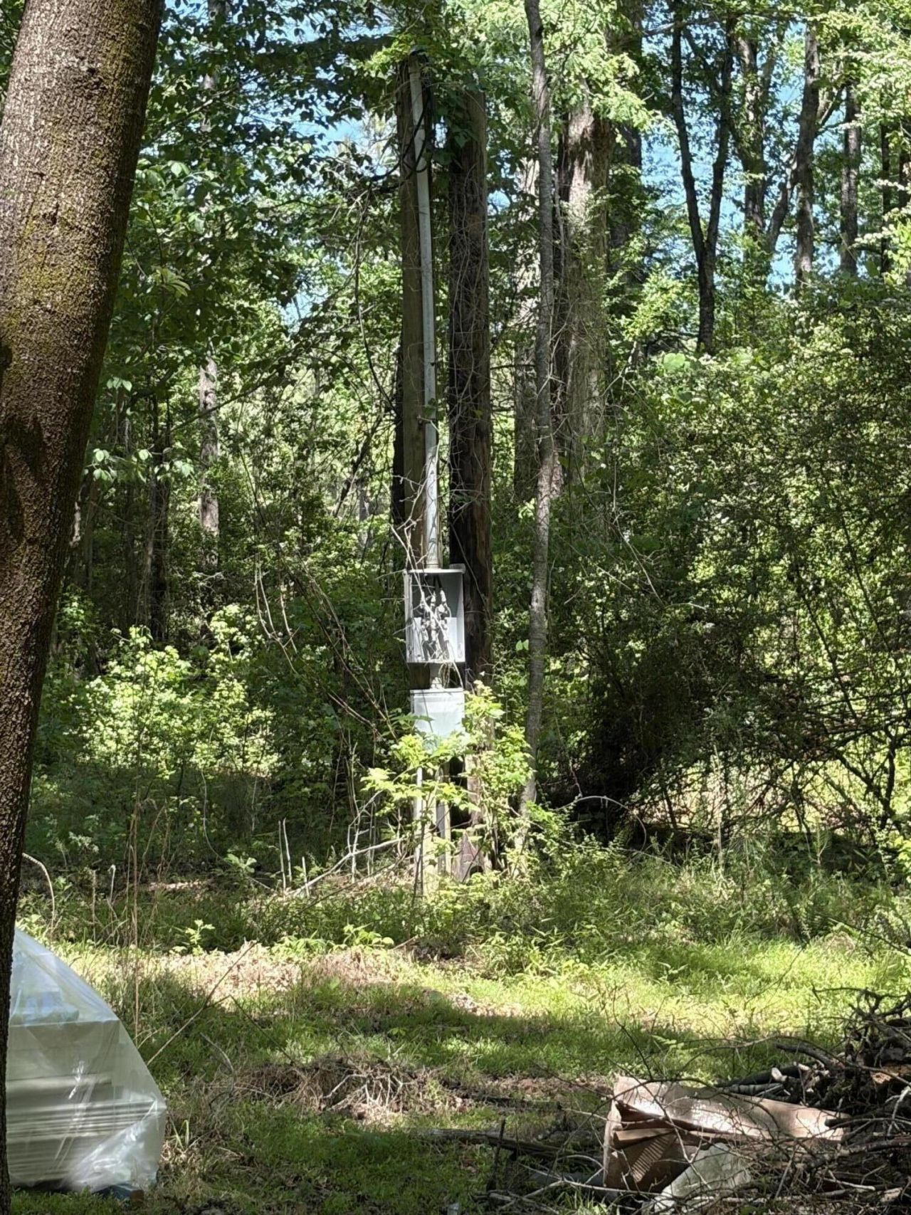 0 Thicket Lane Photo 5