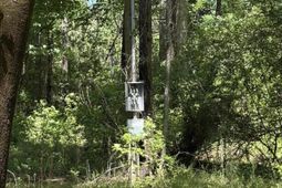 0 Thicket Lane photo 4