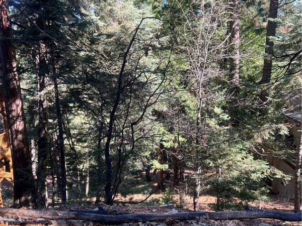 0 Forest , Twin Peaks, CA 02391