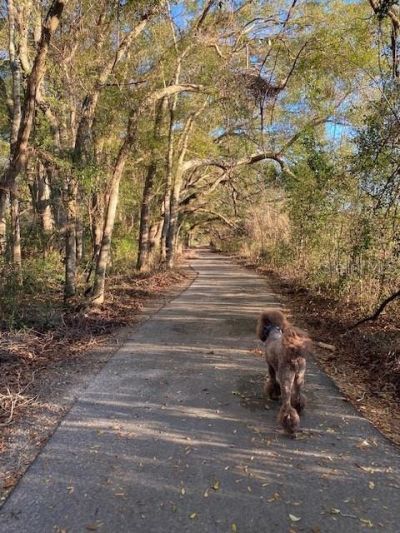 1680 SW 188th Street , Newberry, FL 32669 Photo