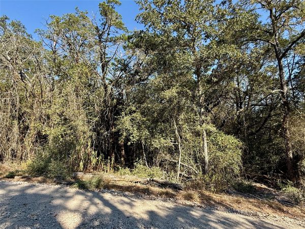 TBD Lot 1232 Hanauma DR , Bastrop, TX 78602