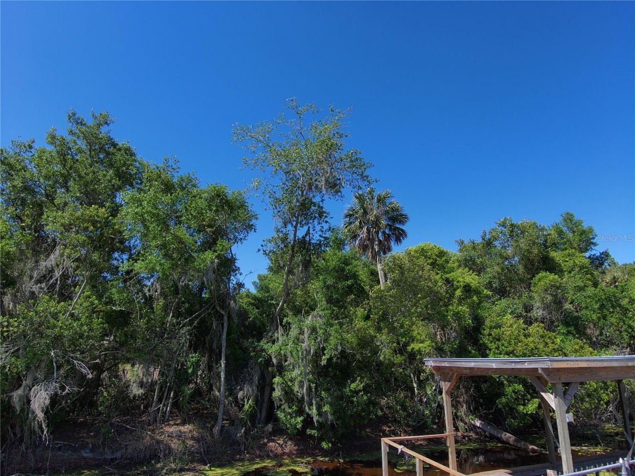 7152 Palm Avenue, Leesburg, FL 34788 Photo