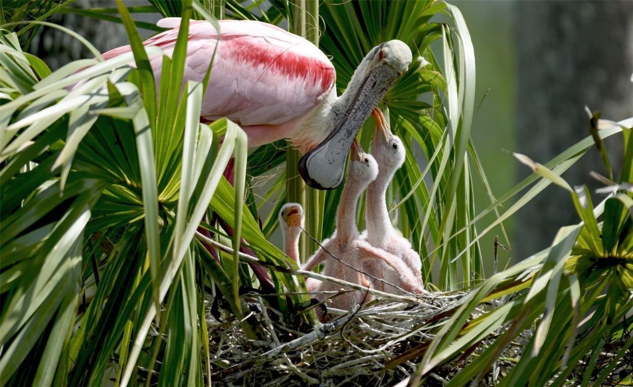 4857 Independence Drive, Bradenton, FL 34210 Photo