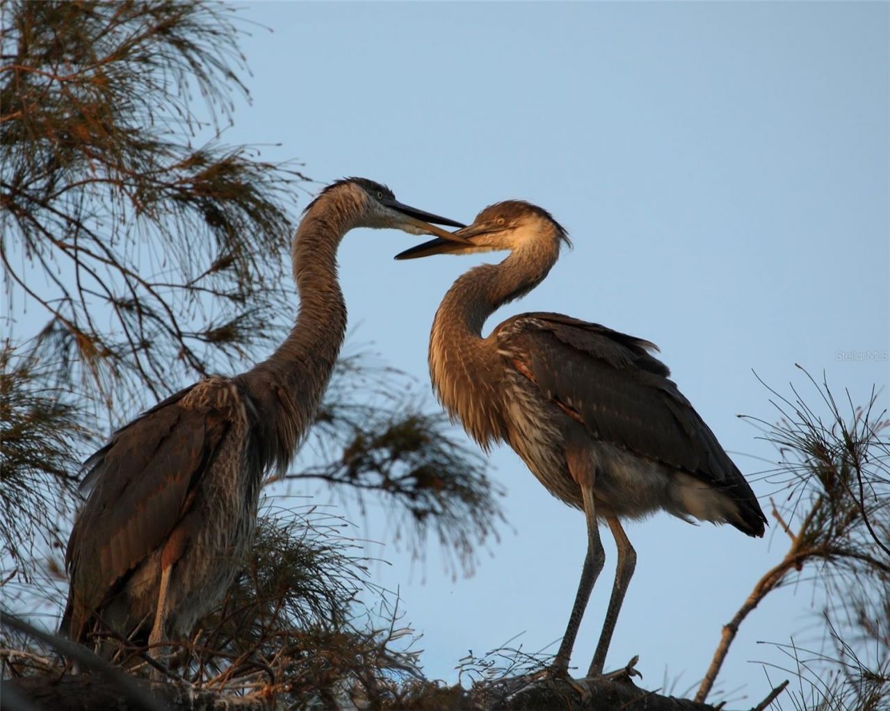 4857 Independence Drive , Bradenton, FL 34210 Photo