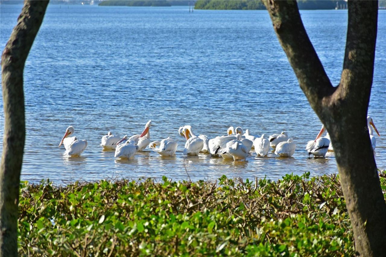 4857 Independence Drive, Bradenton, FL 34210 Photo