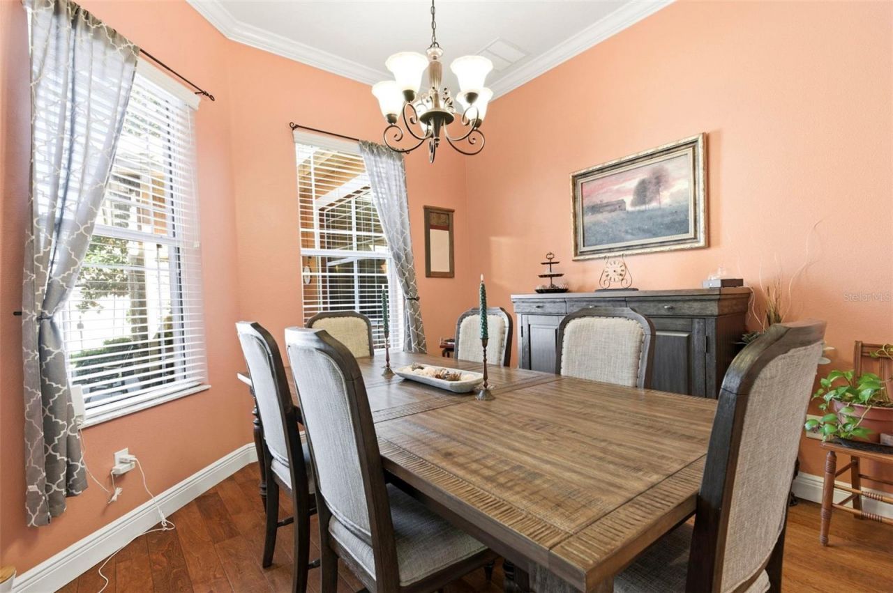 8743 New Alexandria Loop, New Port Richey, FL 34654 Photo