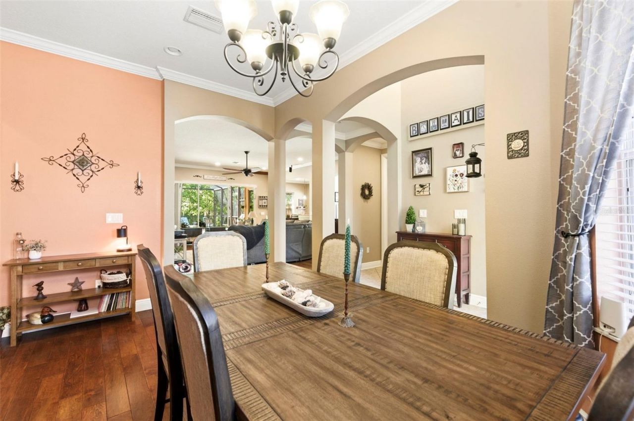 8743 New Alexandria Loop, New Port Richey, FL 34654 Photo