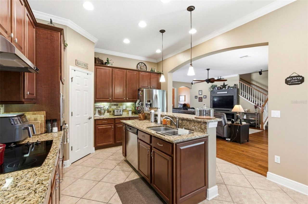 8743 New Alexandria Loop, New Port Richey, FL 34654 Photo