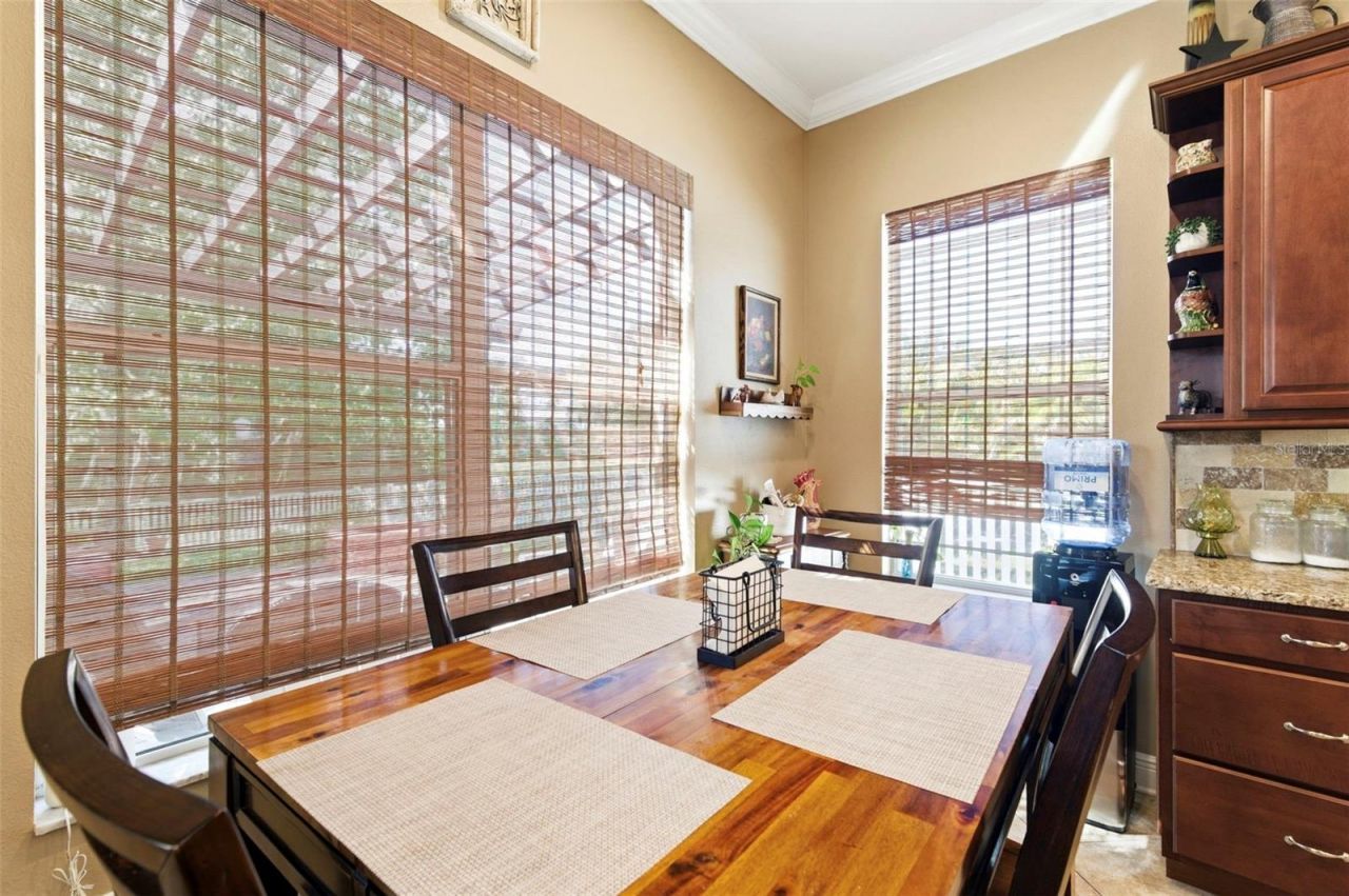 8743 New Alexandria Loop, New Port Richey, FL 34654 Photo