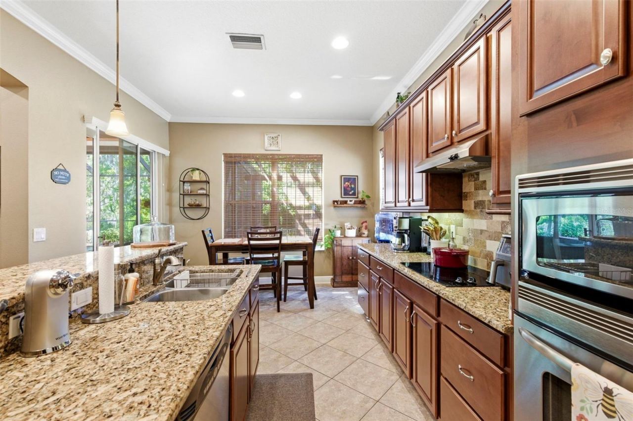 8743 New Alexandria Loop, New Port Richey, FL 34654 Photo