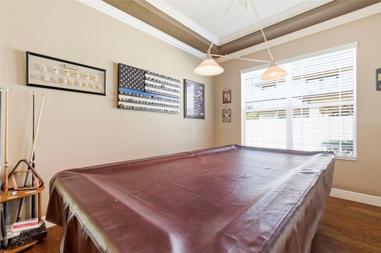 8743 New Alexandria Loop, New Port Richey, FL 34654 Photo