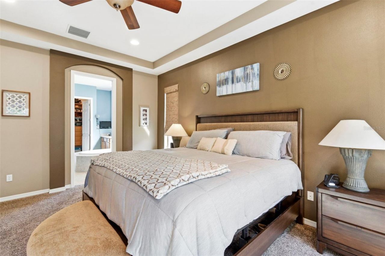 8743 New Alexandria Loop, New Port Richey, FL 34654 Photo