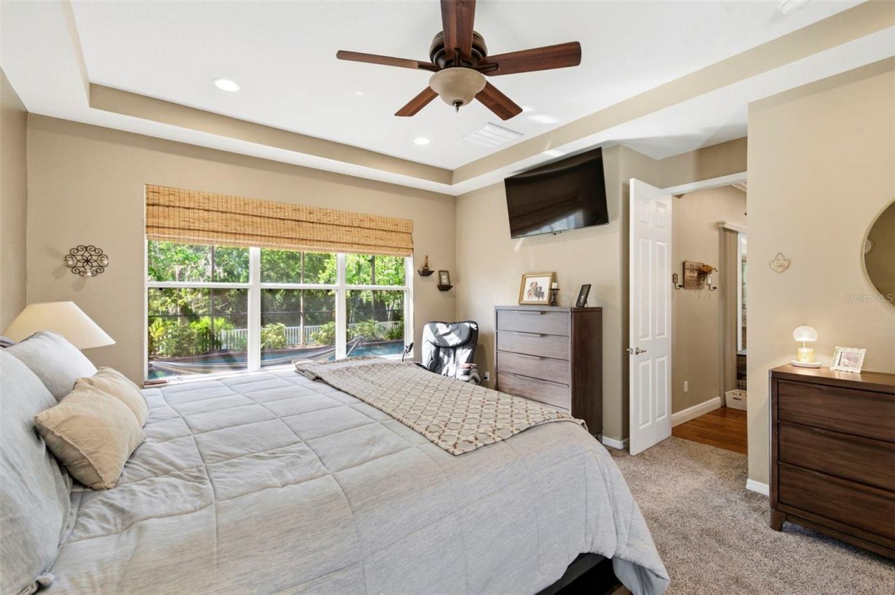 8743 New Alexandria Loop, New Port Richey, FL 34654 Photo