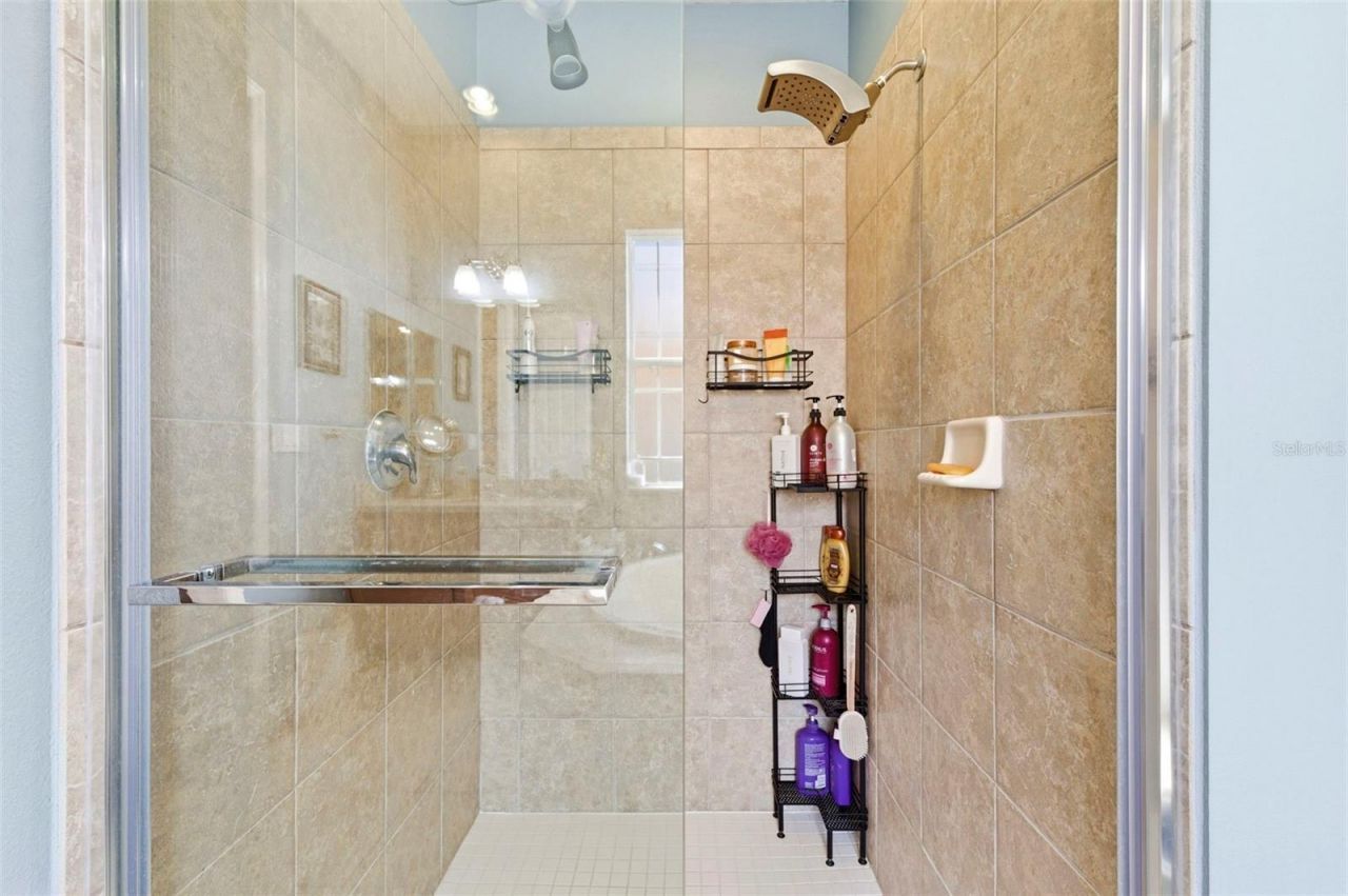 8743 New Alexandria Loop, New Port Richey, FL 34654 Photo