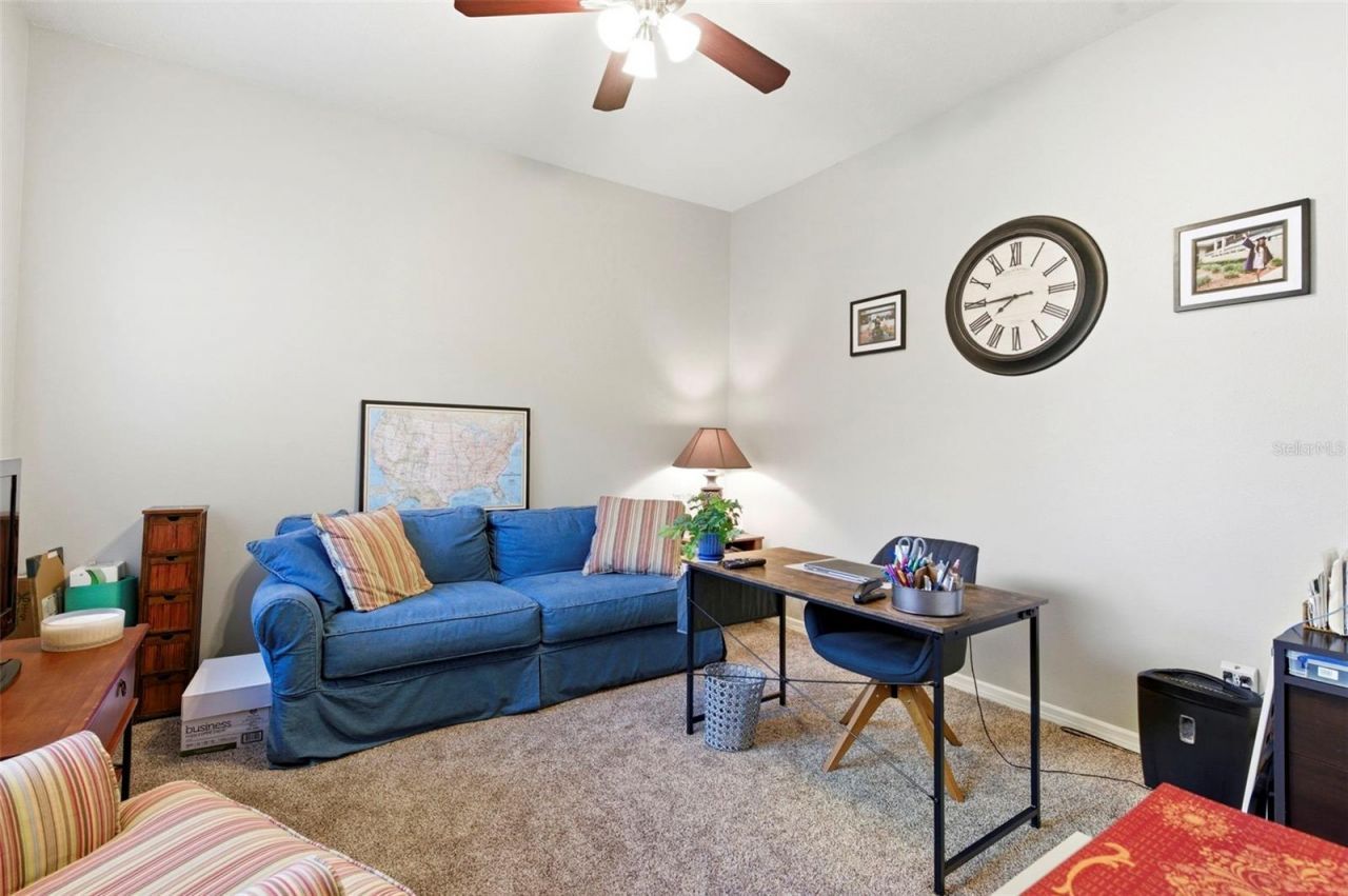 8743 New Alexandria Loop, New Port Richey, FL 34654 Photo