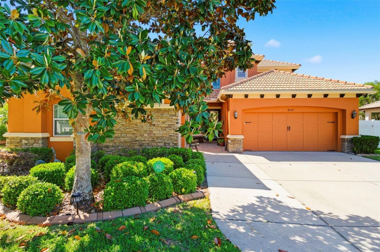 8743 New Alexandria Loop, New Port Richey, FL 34654 Photo