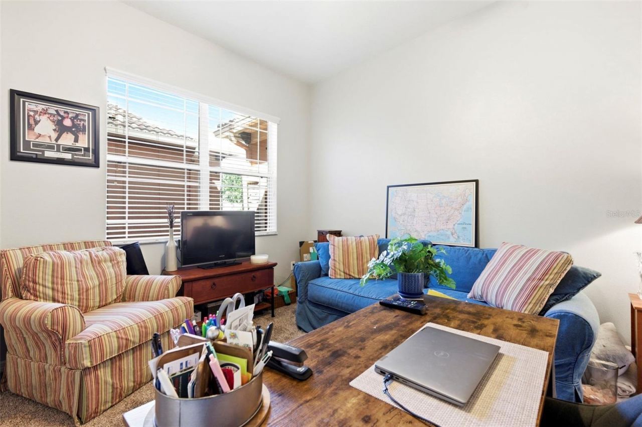 8743 New Alexandria Loop, New Port Richey, FL 34654 Photo