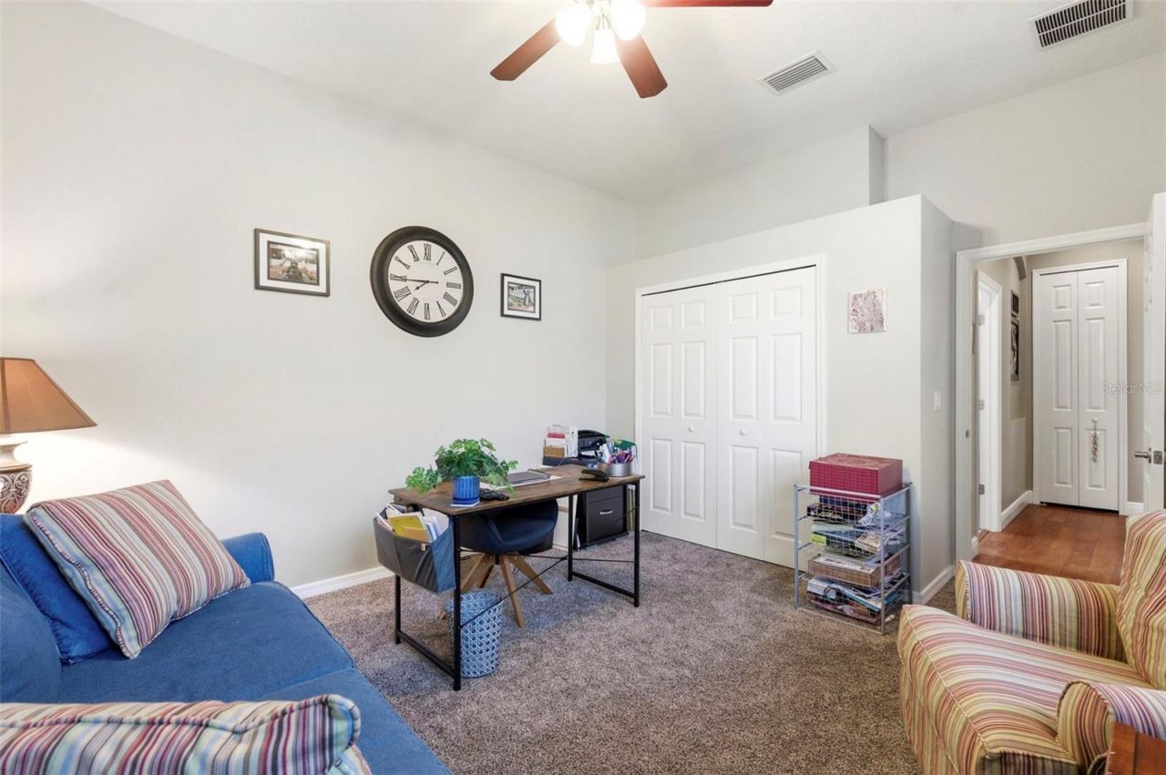 8743 New Alexandria Loop, New Port Richey, FL 34654 Photo