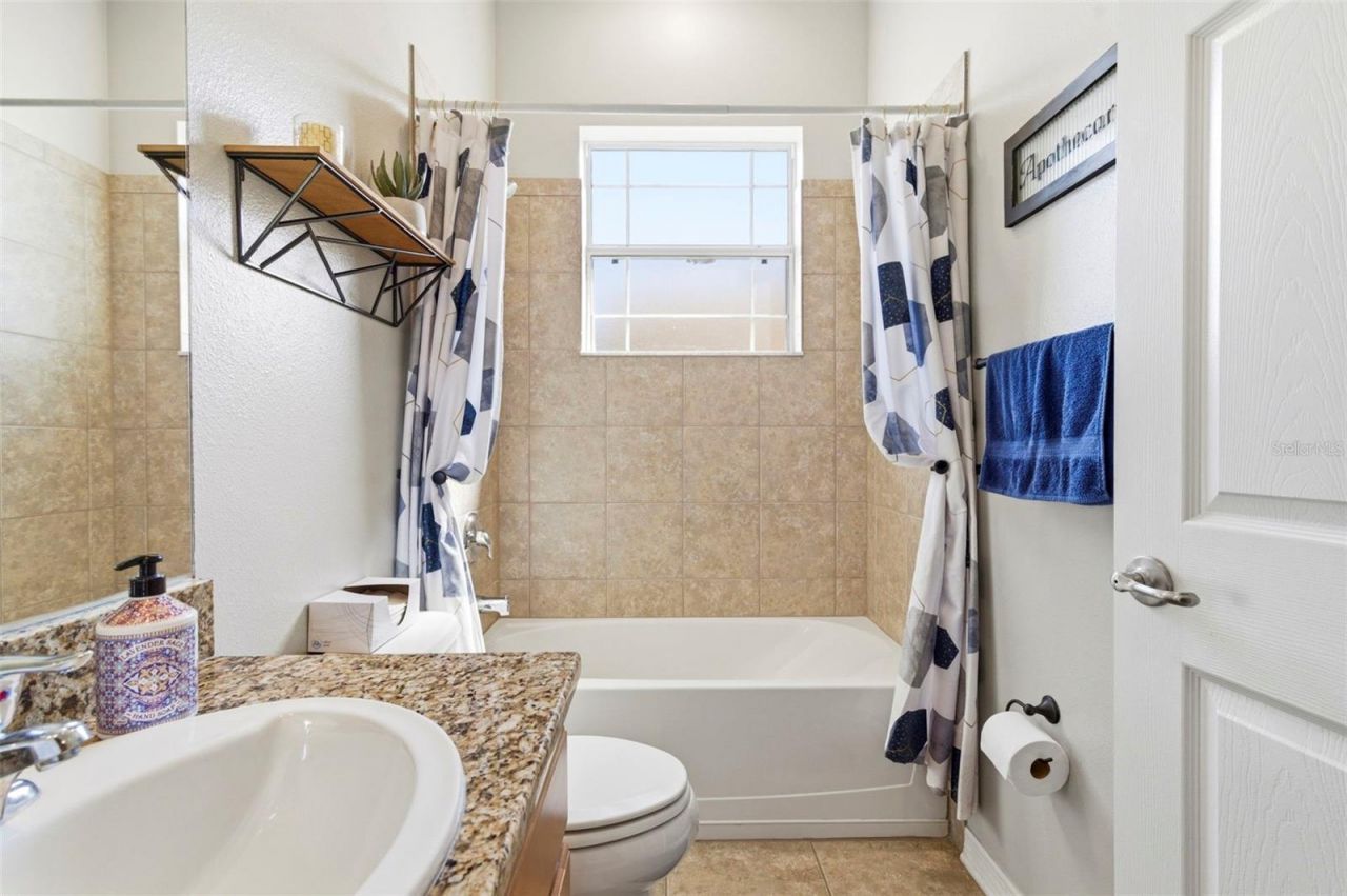 8743 New Alexandria Loop, New Port Richey, FL 34654 Photo