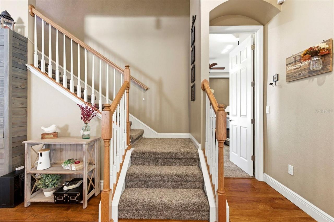 8743 New Alexandria Loop, New Port Richey, FL 34654 Photo