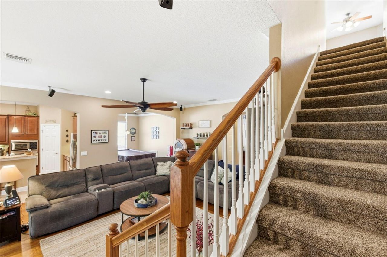 8743 New Alexandria Loop, New Port Richey, FL 34654 Photo