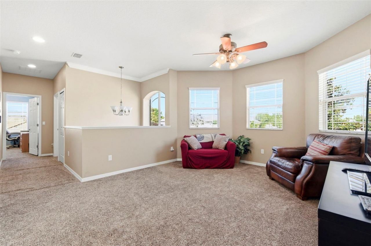 8743 New Alexandria Loop, New Port Richey, FL 34654 Photo