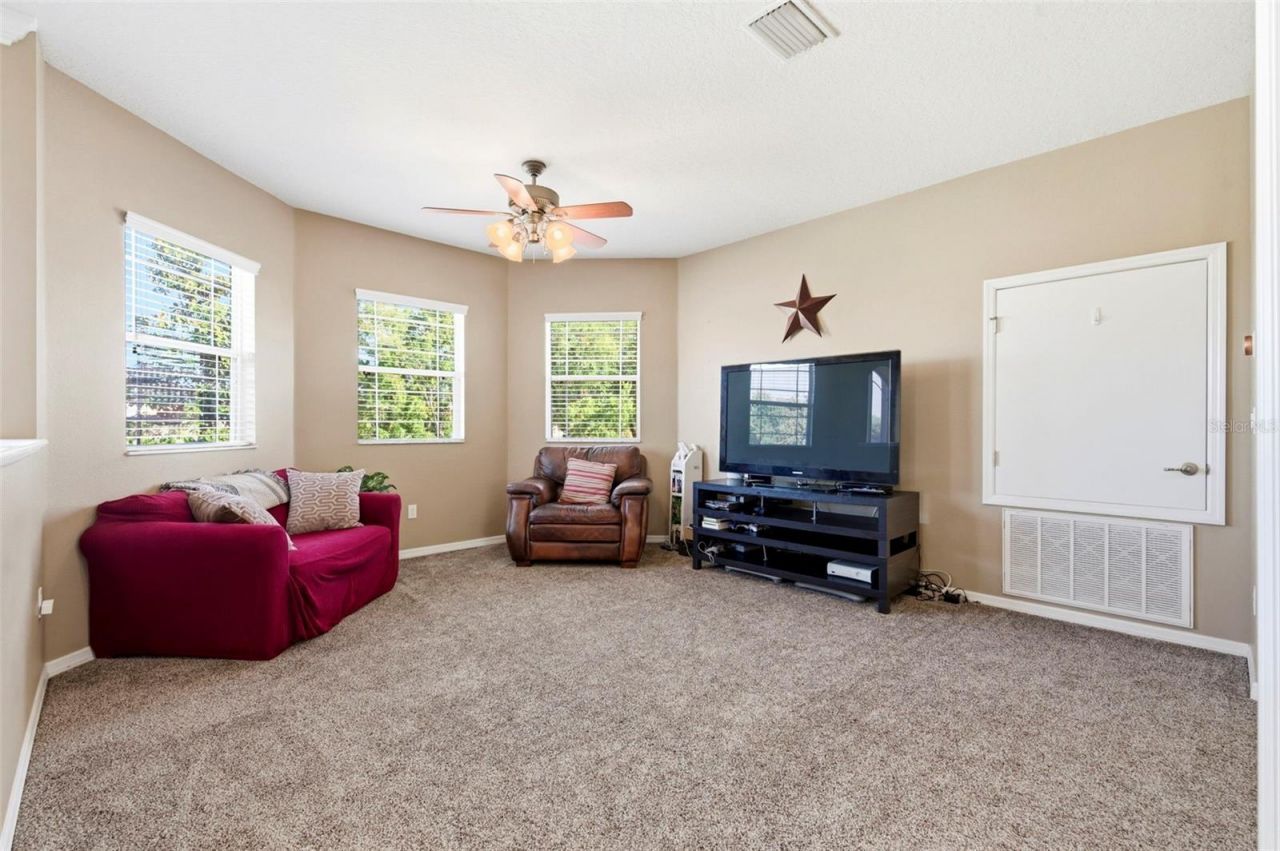 8743 New Alexandria Loop, New Port Richey, FL 34654 Photo